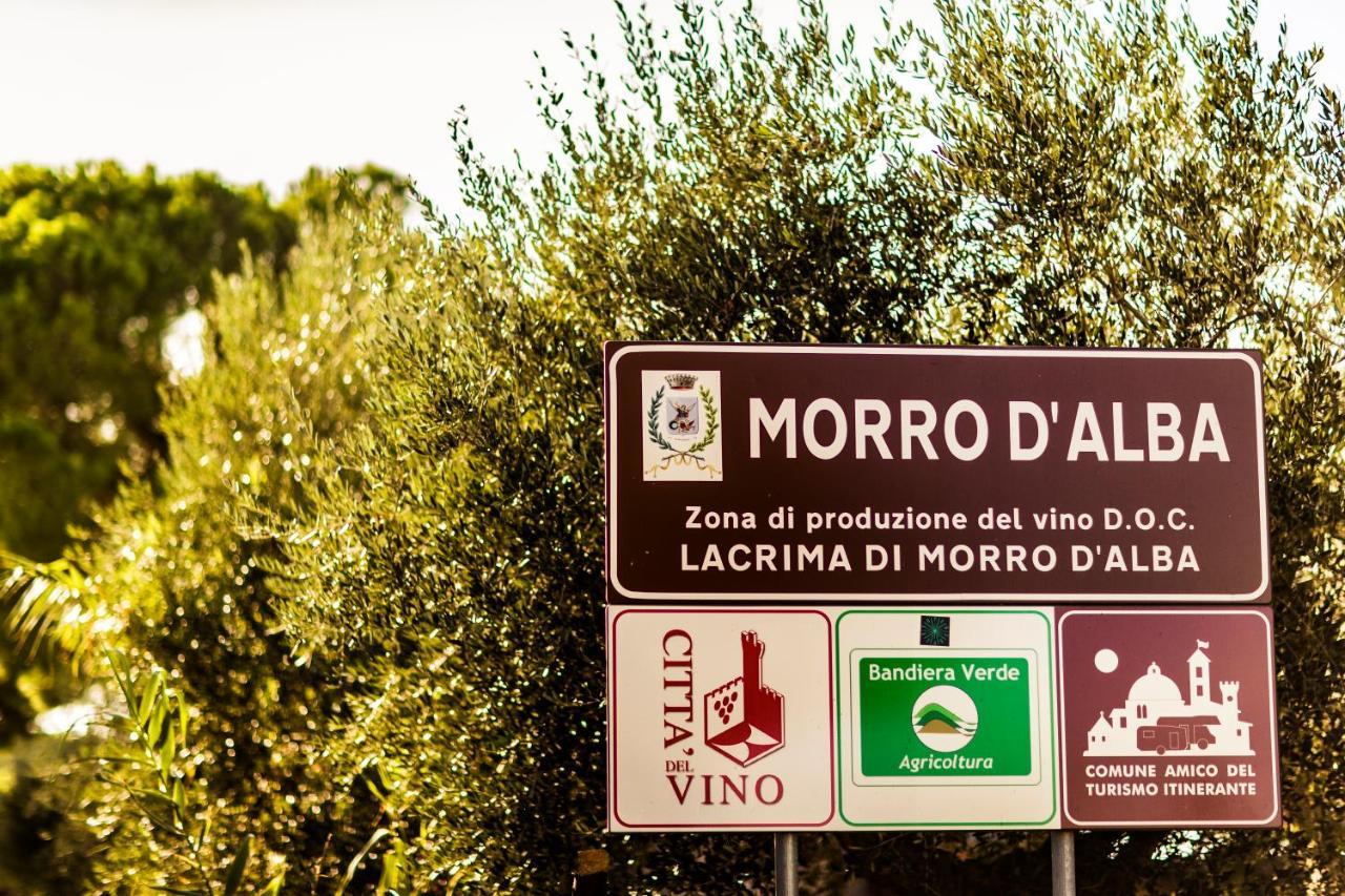 Al Chicco D'uva Morro dʼAlba