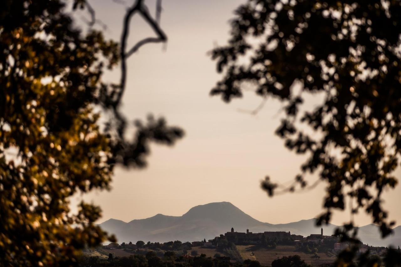Bed and breakfast Al Chicco D'uva Morro dʼAlba